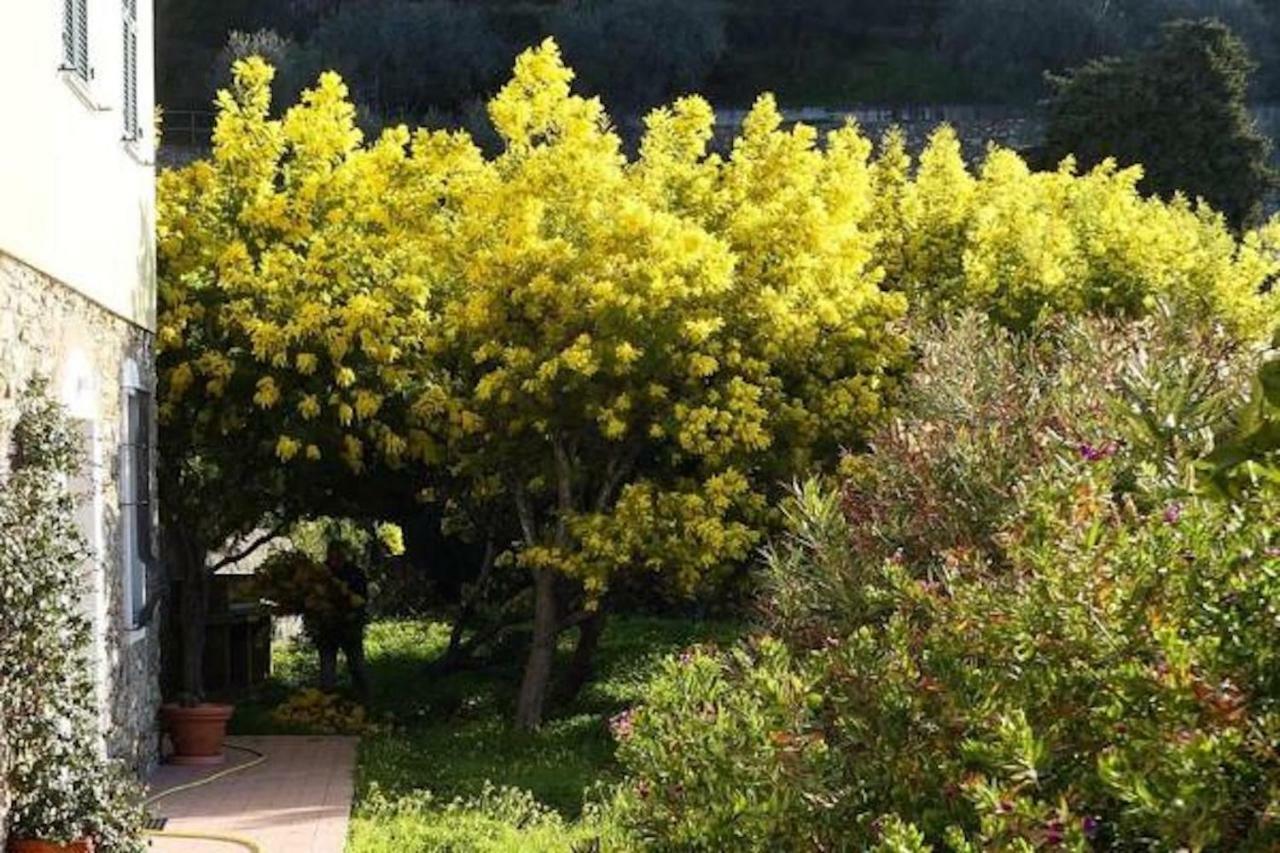 Agriturismo San Michele Di Danio Giovanni 돌체도 외부 사진